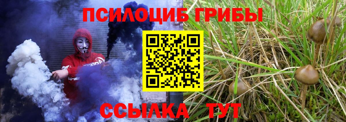 Черногорск  наркошоп  Вход с VPN  Галлюциногенные грибы GOLDEN TEACHER 