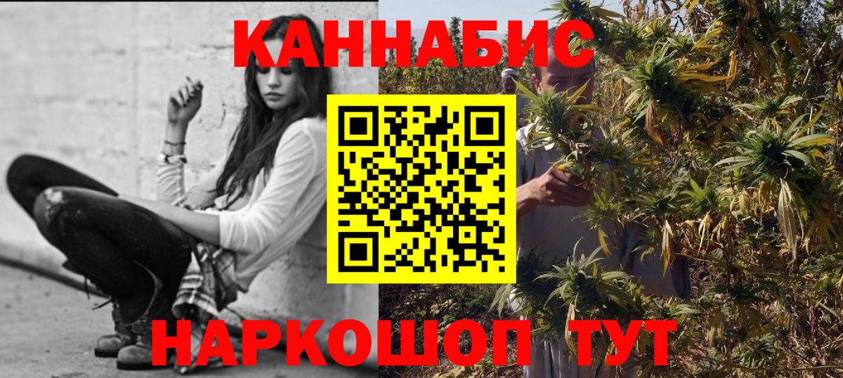 Канабис OG Kush  Конопля конопля  Черногорск  Вход с VPN  Бошки Шишки план 